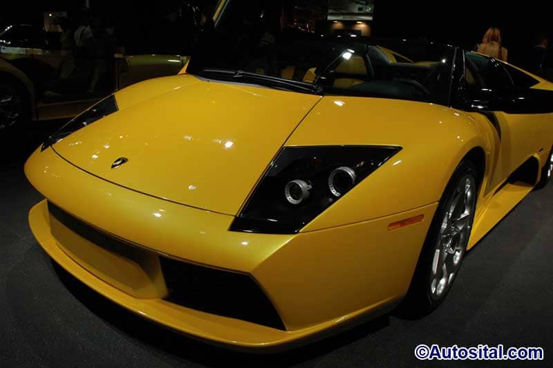 DSC_5673.jpg