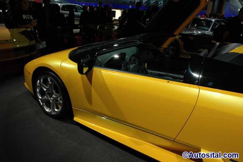 DSC_5676.jpg