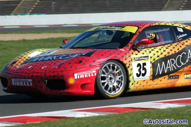 DSC_7246.jpg