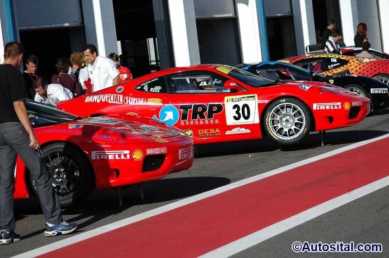 DSC_7715.jpg