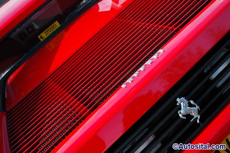DSC_7755.jpg