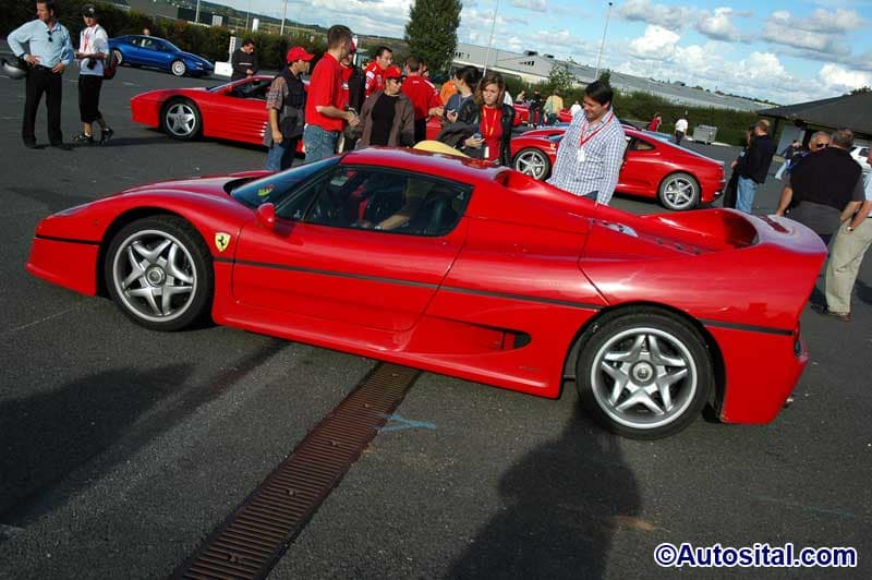 DSC_7761.jpg