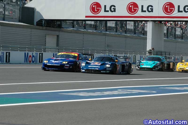 DSC_1354.jpg
