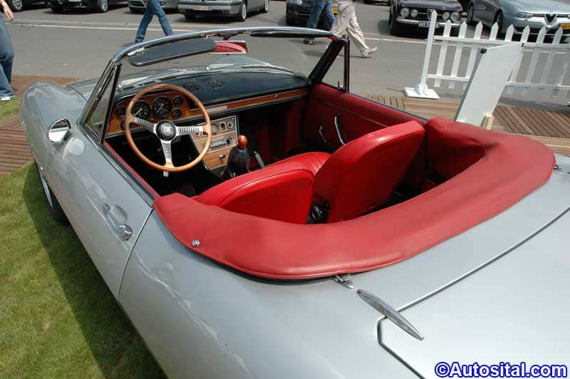 DSC_3135.jpg