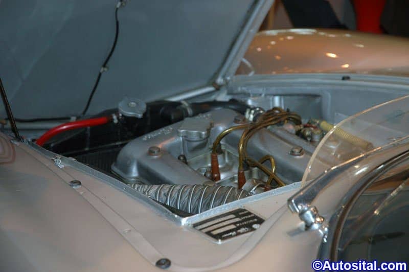 DSC_7525-4.jpg