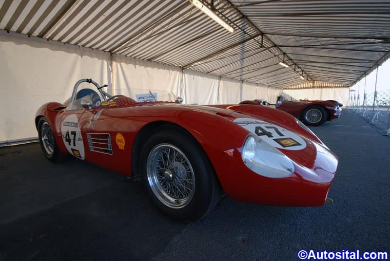 DSC_2367.jpg